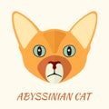 Abyssinian purebred cat portrait vector illustration in flat.