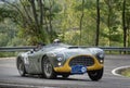 AC Bristol engaged in a regularity competition during the Gran Premio Nuvolari