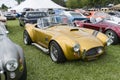 Ac cobra Royalty Free Stock Photo