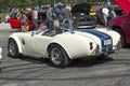 Ac cobra Royalty Free Stock Photo