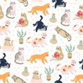 Seamless pattern with cute funny cats different breed isolated on pink background sitting, laying, hiding in box.