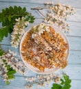 Acacia flowers fritters, Blossoming acacia with leafs, , Robinia pseudoacacia, White acacia Royalty Free Stock Photo