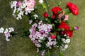 Acacia plum and Carnation combination-Flower arrangement-