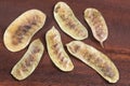 Acacia pods - Senna alexandrina - Cassia acutifolia. Wooden background