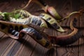 Acacia seeds. black locust. whte acacia on wooden background Royalty Free Stock Photo