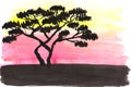 Acacia at sunset, watercolor landscape. African sunset with lonely acacia tree