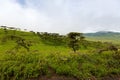 Scenic foggy of Maasai boma hut enclosure near Lake Magadi at Ngorongoro Crater in Tanzania, East Africa