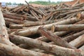 Acacia timber log raw material