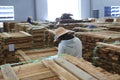 Acacia timber log raw material