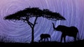 Acacia Tree standing silhouetted against the Milky Way Star Trails