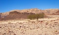 The Amazing Geology of Timna Park in Israel