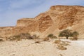 Acacia trees at the bottom of the desert valley under the striped mountains