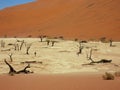 Namibia, Dead Vlei Valley with partly dead trees