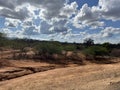 Acacia trees along Nairobi Mombasa highway Kenya, Africa Royalty Free Stock Photo