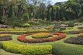 Acacias and artly decorated flower beds Royalty Free Stock Photo