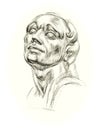 Academic drawing antique gypsum head