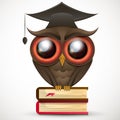 Academic Owl vector