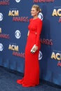 Academy of Country Music Awards 2018