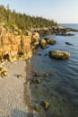 Acadia Clifftop Forest and Rocky Beach