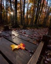 Acadia National Park in Autumn Royalty Free Stock Photo