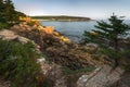 Acadia National Park Coast Forest Rocks and Sea