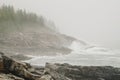 Acadia National Park foggy rocky coast Royalty Free Stock Photo