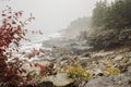 Acadia National Park rocky coast Royalty Free Stock Photo