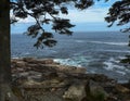 Acadia National Park in Summer, Maine Royalty Free Stock Photo
