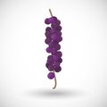 Acai berries on branch flat icon