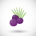 Acai berries flat icon