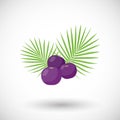 Acai berries flat icon