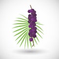 Acai berries flat icon