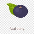 Acai berry icon, isometric 3d style