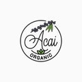 Acai branch logo. Round linear of acai superfood