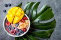 Acai breakfast superfoods smoothie bowl with mango, blueberry, cherry, coconut flakes. Overhead, top view