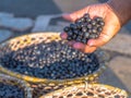 Acai in hand Royalty Free Stock Photo