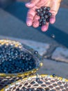 Acai in hand Royalty Free Stock Photo