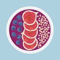 Acai smoothie bowl with figs, blueberries and oats, isolated. Top view. Vector hand drawn illustration.