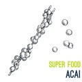 Acai. Super food hand drawn sketch vector Royalty Free Stock Photo
