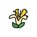 Acanthaceae white flower icon. Simple color with outline vector elements of healing plant icons for ui and ux, website or mobile