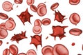 Acanthocytes, abnormal red blood cells with thorn-like projections Royalty Free Stock Photo