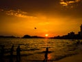 acapulco beach mexico sunset people enjoying Royalty Free Stock Photo