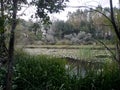 Acarlar Floodplain Forest in Sakarya, Karasu