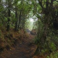 Acatenango Guatemala Hiking Trail