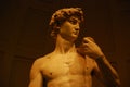 Accademia di Belle Arti Firenze, David Statue, David, Piazza della Signoria, statue, sculpture, classical sculpture, art