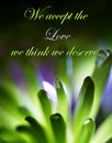 We Accept The Love We Think We Deserve Lavender Floral Print