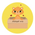 Accept me. Vector ginger cat inside an open cardboard box. Ready for a hug. The mongrel kitten is crying alone. Adopting