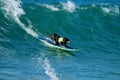 Dog surfing event in Huntington Beach California Royalty Free Stock Photo