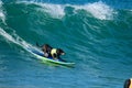 Dog surfing competition in Huntington Beach, California Royalty Free Stock Photo