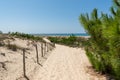 Arcachon Bay, France. Access to the beach La Salie near the dune of Pilat Royalty Free Stock Photo